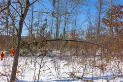 Sleepy Hollow Phase I Tract 3