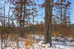 Sleepy Hollow Phase I Tract 3