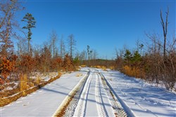 property photo for Sleepy Hollow Phase I Tract 30, 6.18 acres for sale in Texas County, Missouri