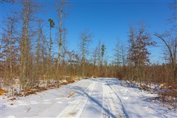 property photo for Sleepy Hollow Phase I Tract 30, 6.18 acres for sale in Texas County, Missouri
