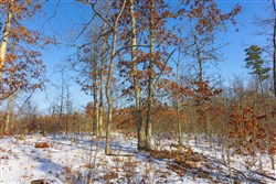 property photo for Sleepy Hollow Phase I Tract 30, 6.18 acres for sale in Texas County, Missouri