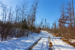 property photo for Sleepy Hollow Phase I Tract 31, 3.22 acres for sale in Texas County, Missouri