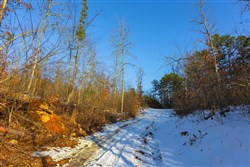 property photo for Sleepy Hollow Phase I Tract 31, 3.22 acres for sale in Texas County, Missouri