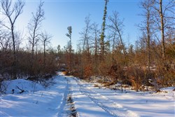 property photo for Sleepy Hollow Phase I Tract 31, 3.22 acres for sale in Texas County, Missouri