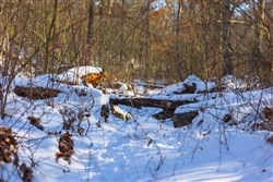 property photo for Sleepy Hollow Phase I Tract 31, 3.22 acres for sale in Texas County, Missouri