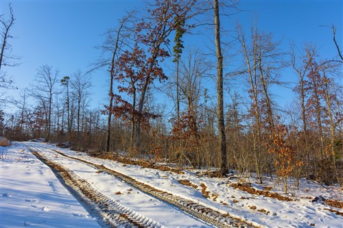 Sleepy Hollow Phase I Tract 32