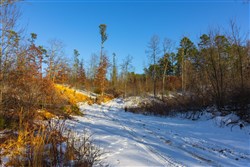 Sleepy Hollow Phase I Tract 32