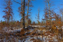 Sleepy Hollow Phase I Tract 32