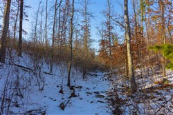 Sleepy Hollow Phase I Tract 32