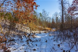 Sleepy Hollow Phase I Tract 32