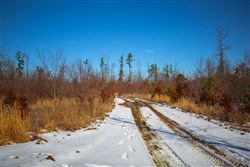 Sleepy Hollow Phase I Tract 33