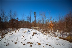 Sleepy Hollow Phase I Tract 33