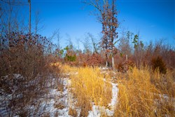 Sleepy Hollow Phase I Tract 33