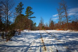 property photo for Sleepy Hollow Phase I Tract 34, 5.12 acres for sale in Texas County, Missouri