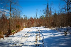 property photo for Sleepy Hollow Phase I Tract 34, 5.12 acres for sale in Texas County, Missouri