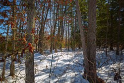 property photo for Sleepy Hollow Phase I Tract 34, 5.12 acres for sale in Texas County, Missouri