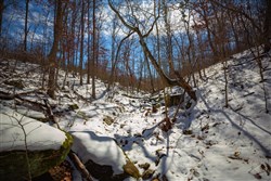 property photo for Sleepy Hollow Phase I Tract 34, 5.12 acres for sale in Texas County, Missouri