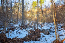 property photo for Sleepy Hollow Phase I Tract 35, 5.69 acres for sale in Texas County, Missouri