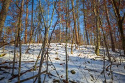 property photo for Sleepy Hollow Phase I Tract 35, 5.69 acres for sale in Texas County, Missouri
