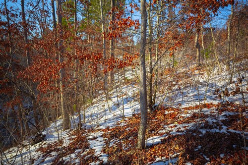 Sleepy Hollow Phase I Tract 36