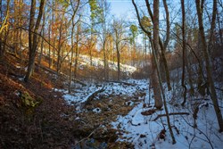 Sleepy Hollow Phase I Tract 36
