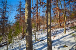 Sleepy Hollow Phase I Tract 36