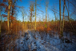 Sleepy Hollow Phase I Tract 36