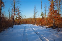 Sleepy Hollow Phase I Tract 37