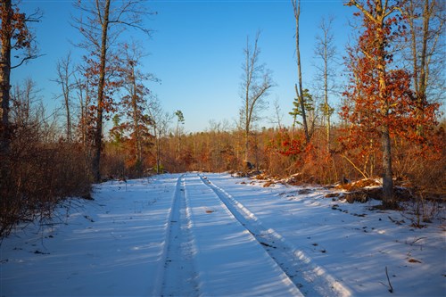 Sleepy Hollow Phase I Tract 37