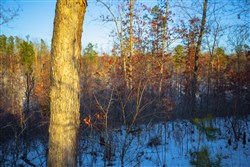 Sleepy Hollow Phase I Tract 37
