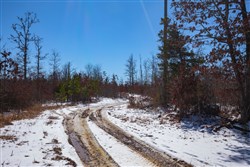 Sleepy Hollow Phase I Tract 38