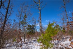 Sleepy Hollow Phase I Tract 38