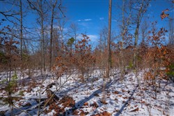 Sleepy Hollow Phase I Tract 38