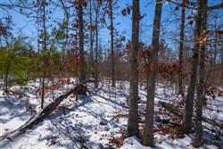 Sleepy Hollow Phase I Tract 38