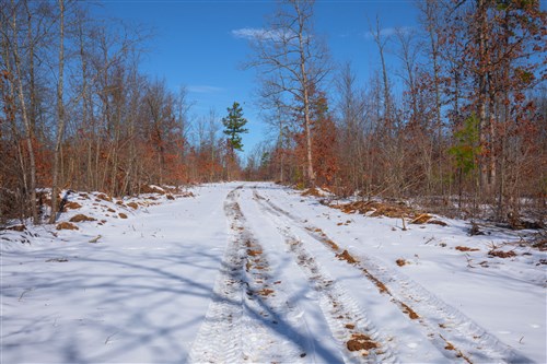 Sleepy Hollow Phase I Tract 39