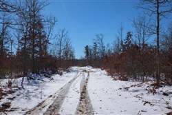 Sleepy Hollow Phase I Tract 39