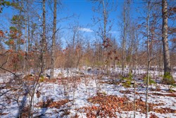 Sleepy Hollow Phase I Tract 39