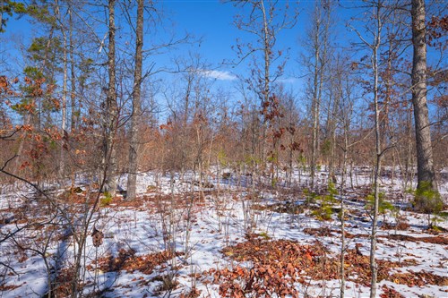 Sleepy Hollow Phase I Tract 39