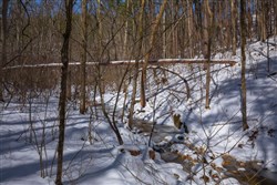 Sleepy Hollow Phase I Tract 39