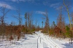 Sleepy Hollow Phase I Tract 4