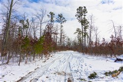 Sleepy Hollow Phase I Tract 4