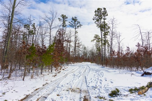 Sleepy Hollow Phase I Tract 4