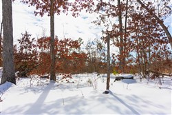 Sleepy Hollow Phase I Tract 4