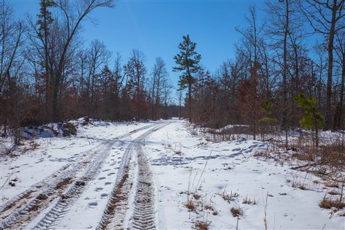 Sleepy Hollow Phase I Tract 40