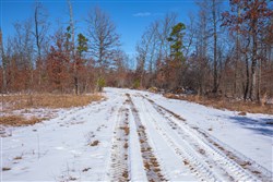 Sleepy Hollow Phase I Tract 40