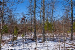 Sleepy Hollow Phase I Tract 40