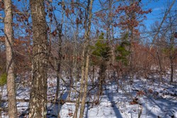 Sleepy Hollow Phase I Tract 40