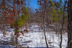 Sleepy Hollow Phase I Tract 40