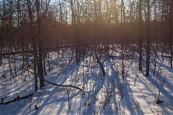 Sleepy Hollow Phase I Tract 42