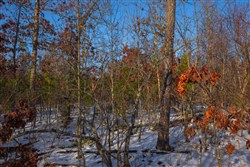 Sleepy Hollow Phase I Tract 42